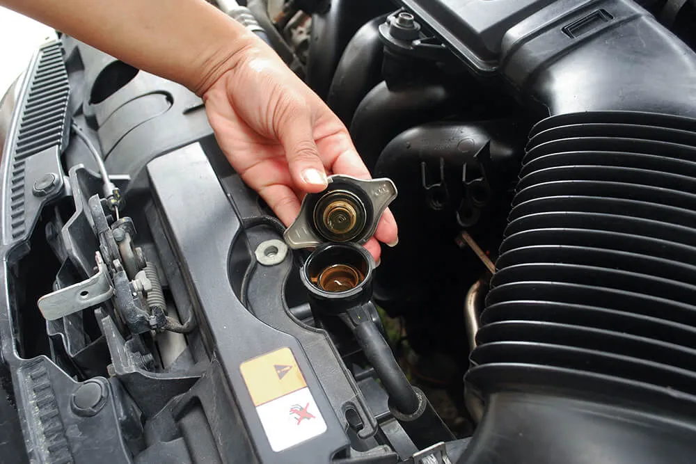 Coolant Chronicles: Unveiling the Essentials of Your Vehicle's Cooling System